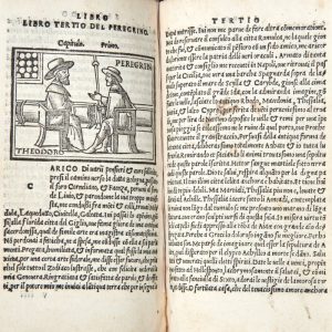 Libro del peregrino diligentemente in lingua toscha correttto [...]
